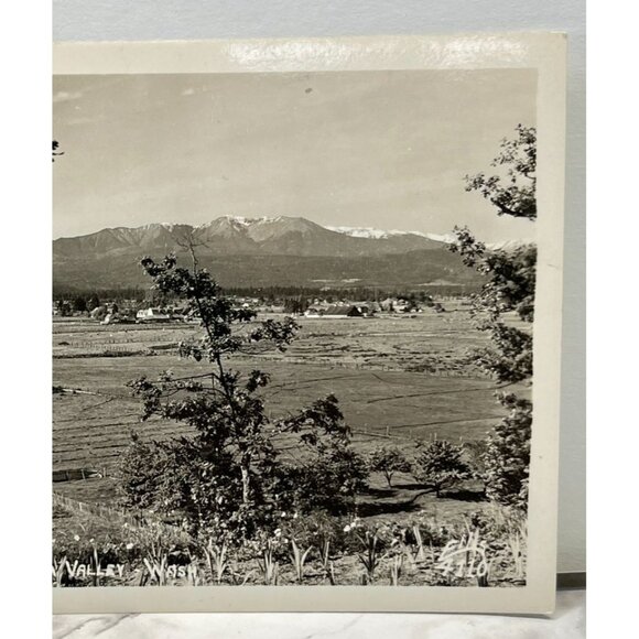 Olympic Mountains RPPC Postcard Vintage Sequim Valley WA North Peninsula - Picture 5 of 6
